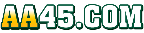 aa45.COM